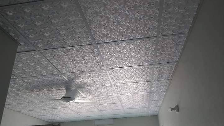 False ceiling (2 x 2)/Roof ceiling/Ceiling 5