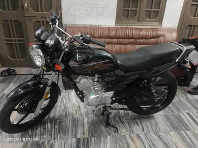 Yamaha Yb 125z Dx Brand New Condition Bikes Motorcycles