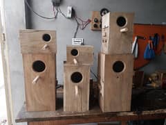 All bird house Available in whole sale price kekar wood