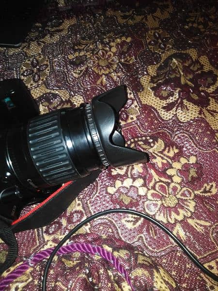 Canon Dslr Camera 8