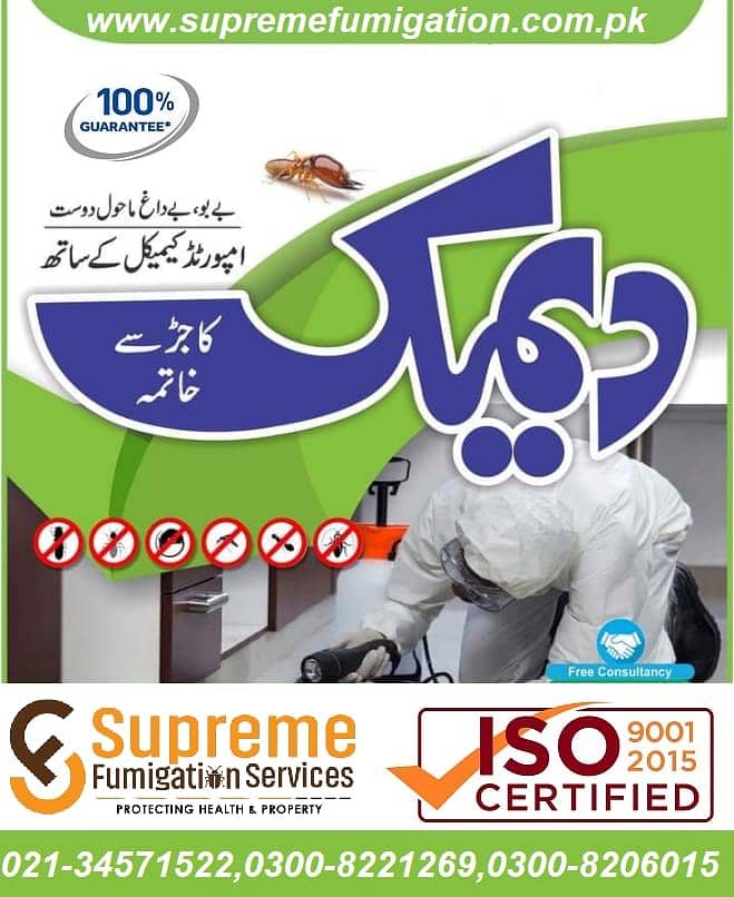 Termite Control in Karachi 0