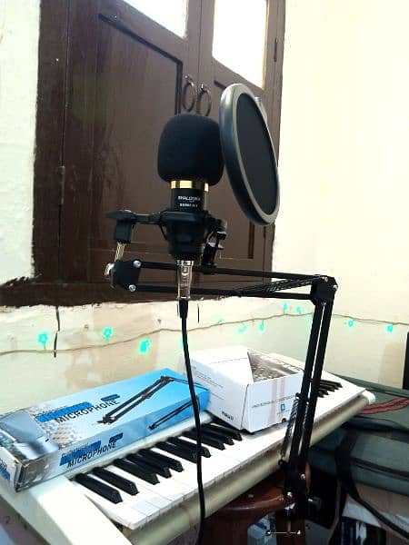 new Mic professional with stand and accessories, box packed 0