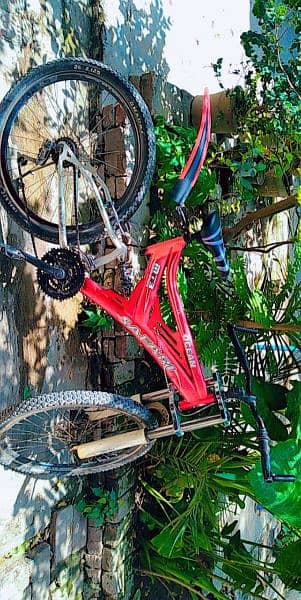 bicycle for sale