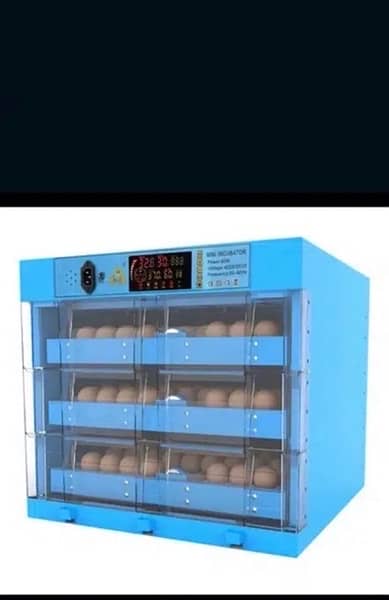 Incubator for eggs capacity. 0