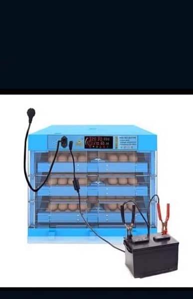 Incubator for eggs capacity. 1