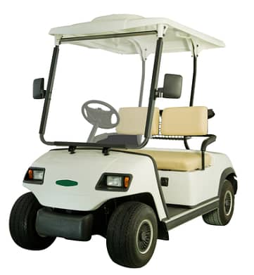 ACE-EV Golf Cart 0