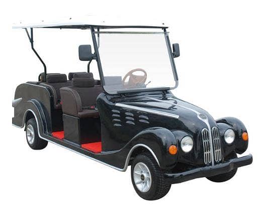 ACE-EV Golf Cart 3
