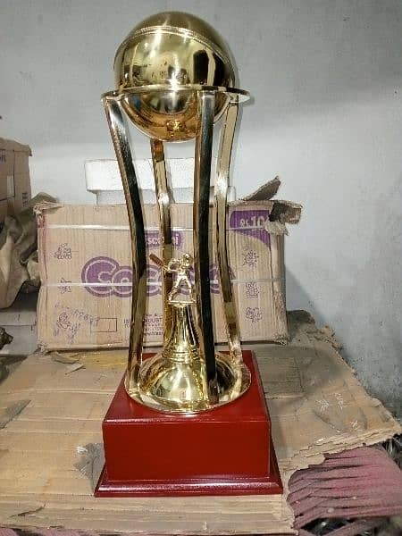 cricket brass trophy 6