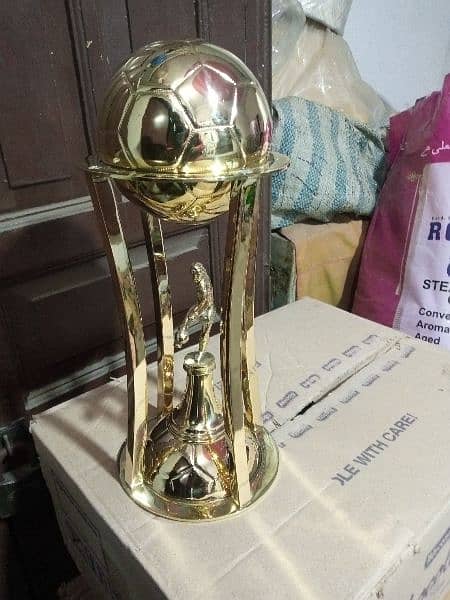 cricket brass trophy 8