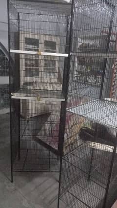 Love Birds Cage