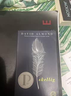 David Almond Skellig Book