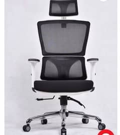 Egronomic chair(Mesh chair black and white