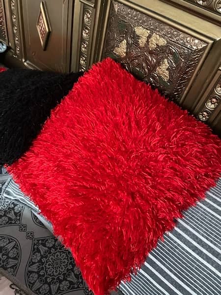 Cushions (Pillows) for Sale! (600/- each) 3