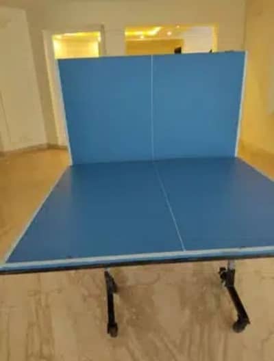 ping pong racket