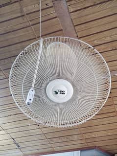 Fan