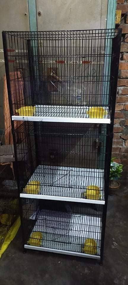 birds and animals cage 0