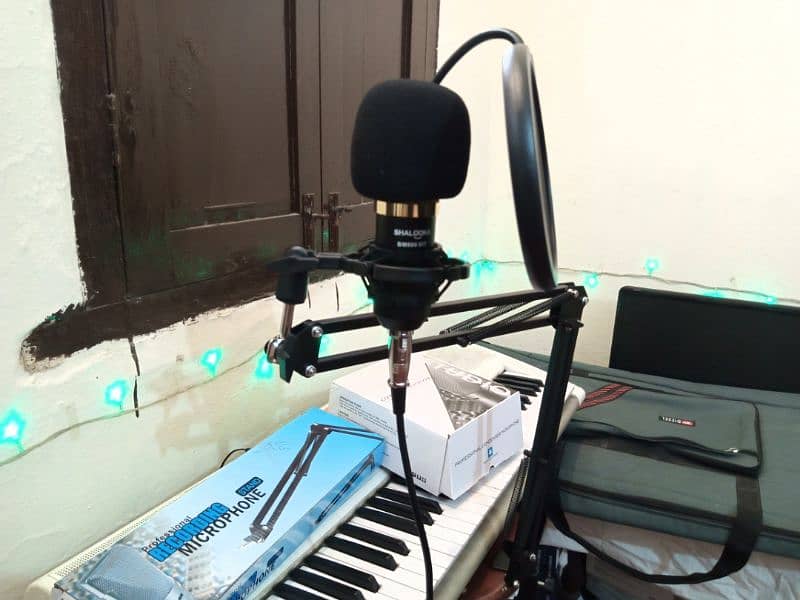 Condenser Mic with stand and accessories box packed 2