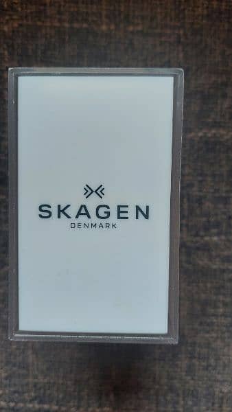 Skagen Men's Watch SKW6220 1