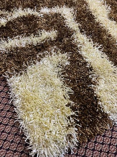imported rug carpet 1