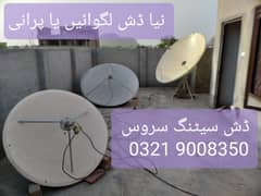 Dish