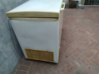 Deep freezer+ fridge