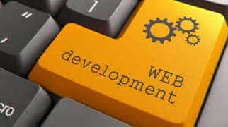 Web developer /Website designing