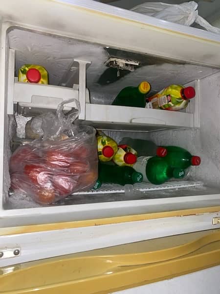 fridge 3