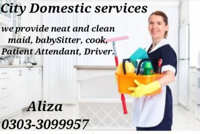 City Domestic Services 0