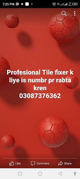 professional Tile fixer