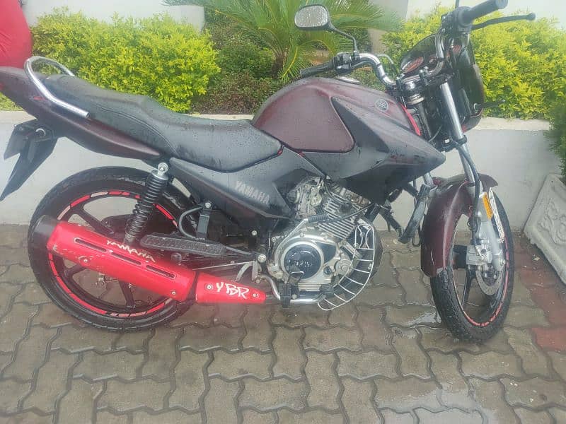 YBR 125 Red Black 1