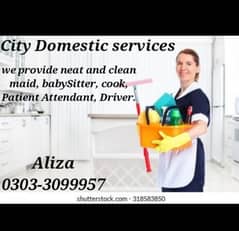 City Domestic services