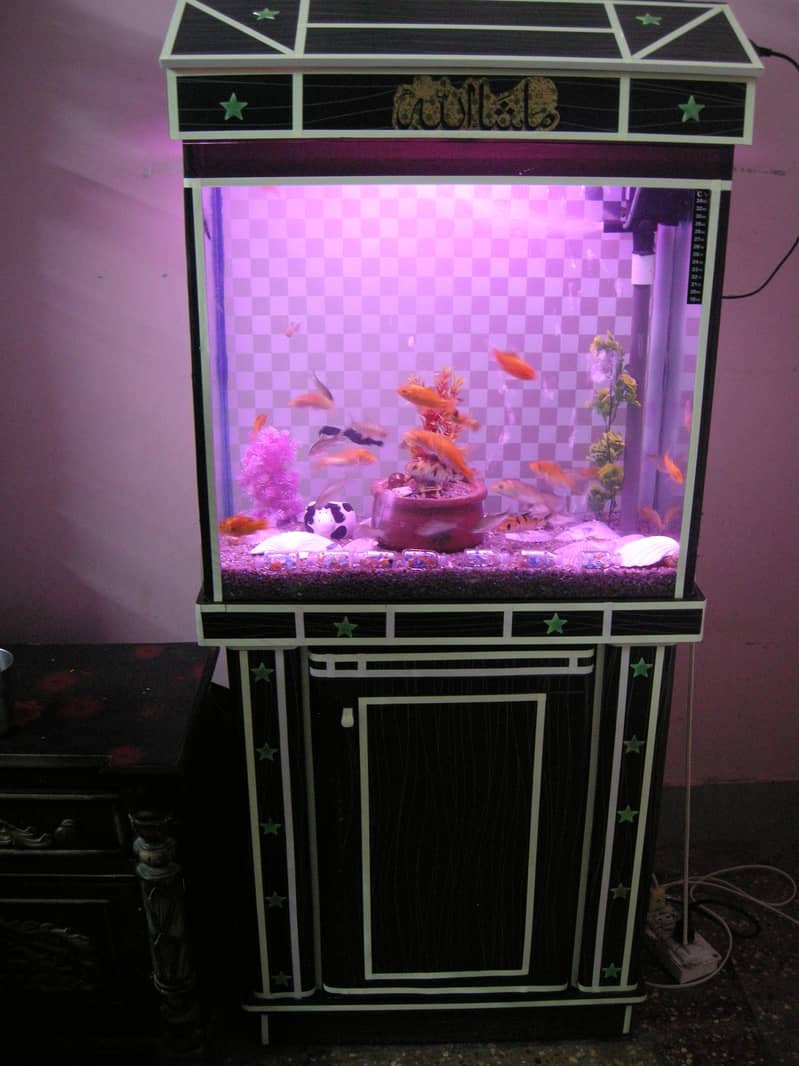 brand new aquruim with fishes (for sale) 2