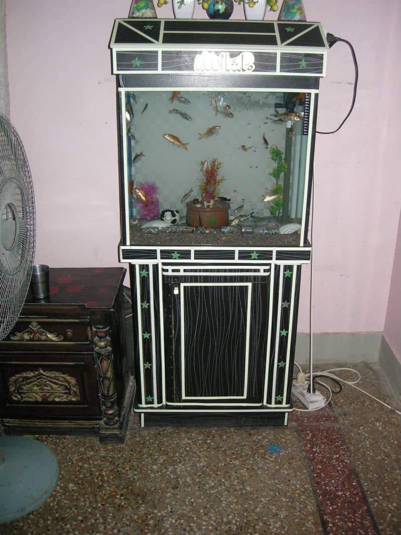 brand new aquruim with fishes (for sale) 6