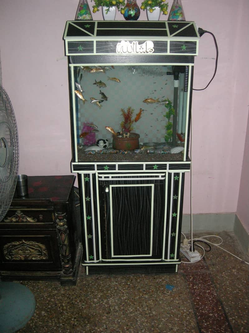 brand new aquruim with fishes (for sale) 7