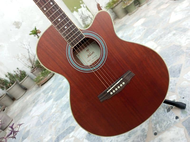 Brown Guitar 0