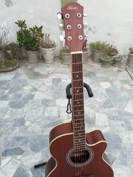 Brown Guitar 3