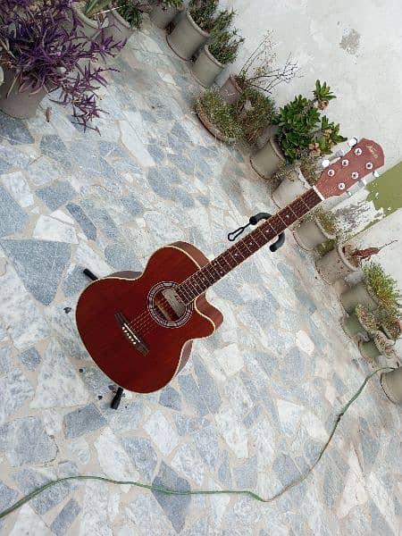 Brown Guitar 5