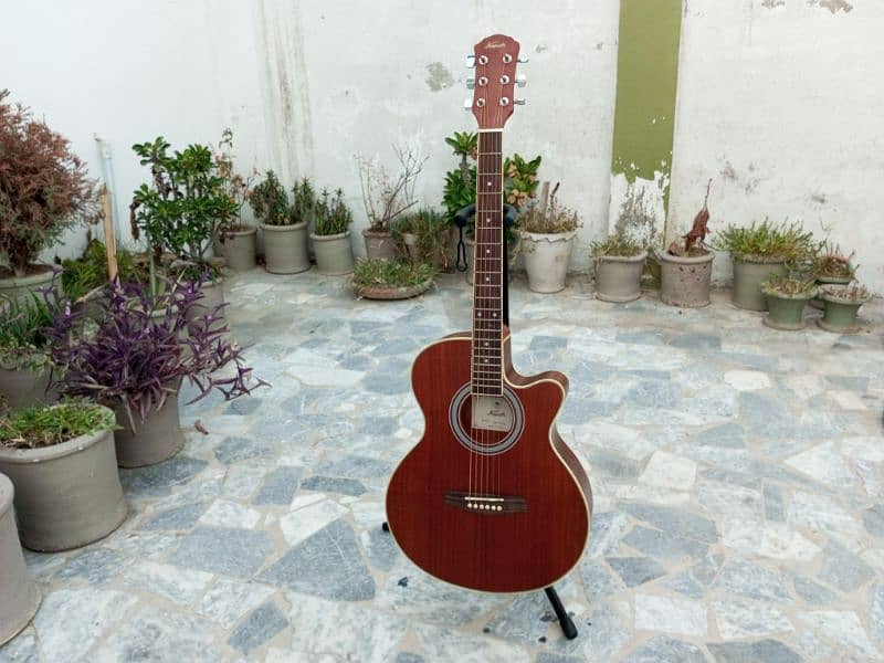 Brown Guitar 14