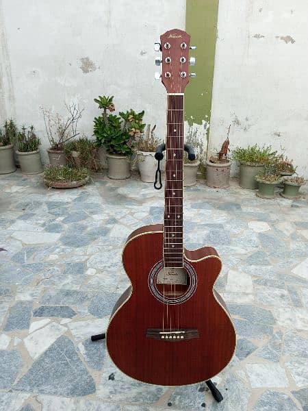 Brown Guitar 16