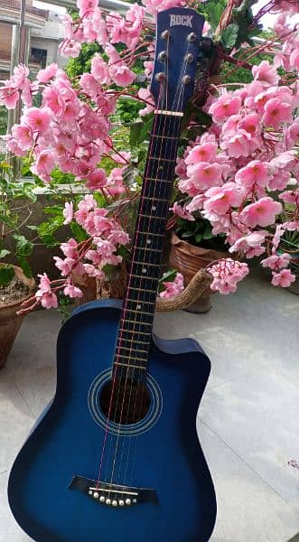 Acoustic Guitar with Accessories multicolored strings 0