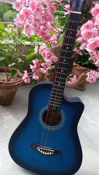 Acoustic Guitar with Accessories multicolored strings 1