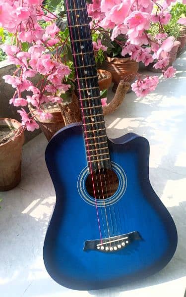 Acoustic Guitar with Accessories multicolored strings 2