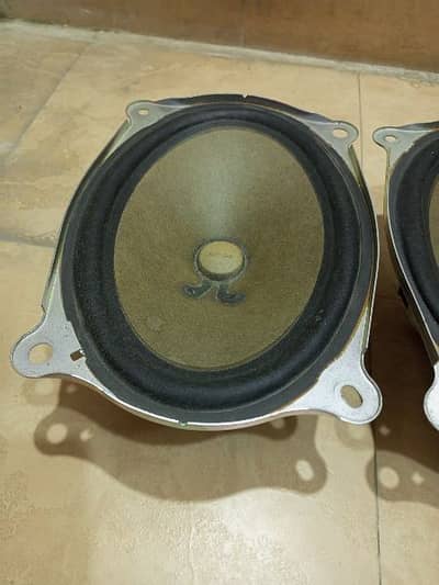 bose 6x9 subwoofer