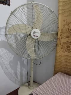 pedistal fan for sale