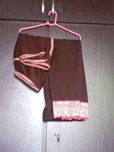Brown Chiffon Fully Embroidered (promotion price) 2