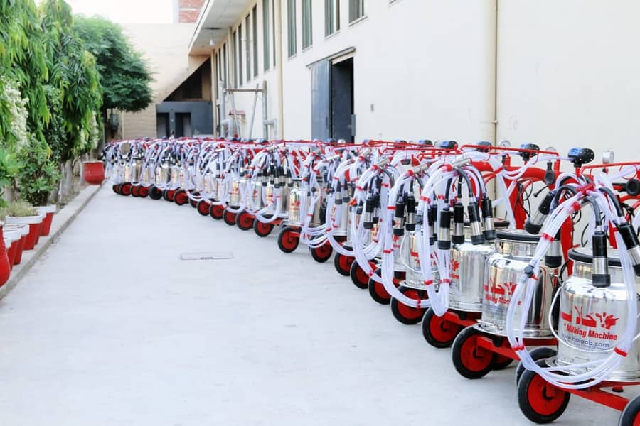 milking machine by halaab/milking machines for cows and buffalos 1