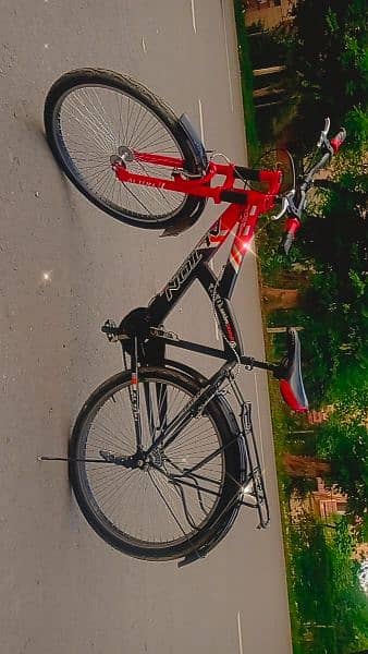 ALTON BICYCLE UP FOR SALE - Bicycles 