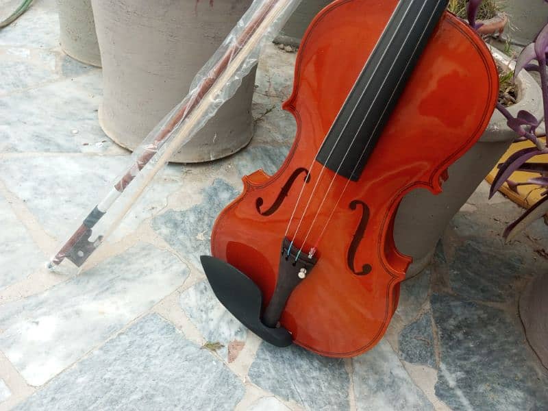 Imported Violin 2