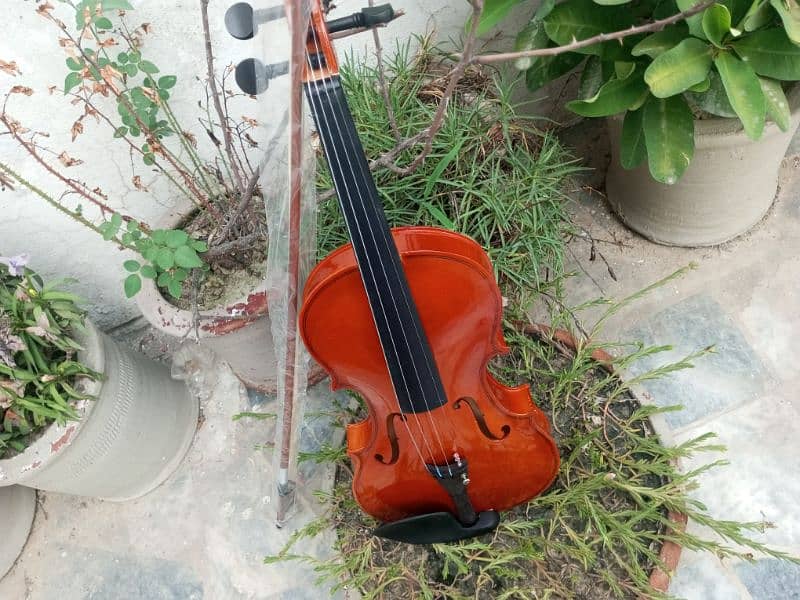 Imported Violin 8