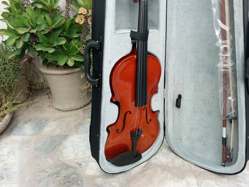 Brand Violin 2